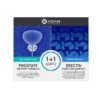 Agan Promo Prostate Support Formula 30Caps & ΔΩΡΟ Erectin Function Support 6Tabs, Συμπλήρωμα Διατροφής για την Θωράκiση του Προστάτη -Best Beauty Shop 5060406350487